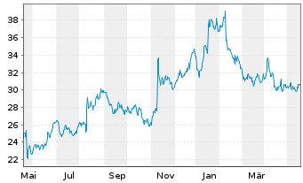 Chart LiveRamp Holdings Inc. - 1 Jahr