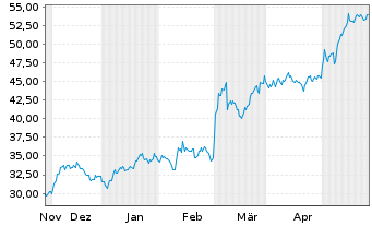 Chart RadNet Inc. - 6 Monate